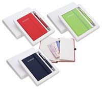 SET NOTES A RIGHE A6 CON PENNA